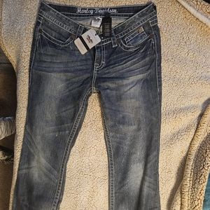 Harley Davidson Jeans